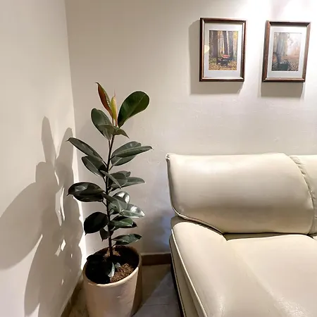 Apartamento 7 Pax Centro Historico *